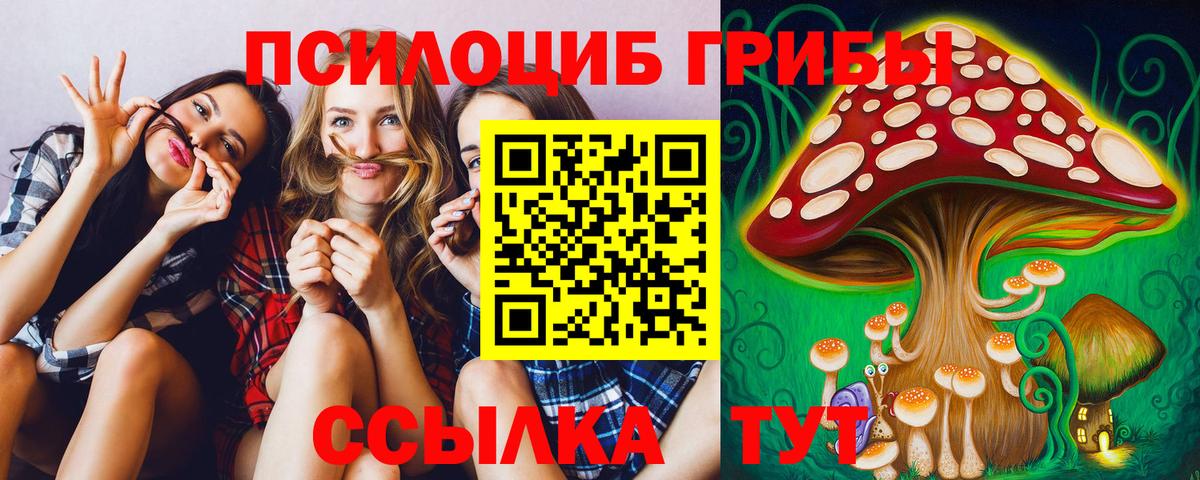 Псилоцибиновые грибы прущие грибы Сочи