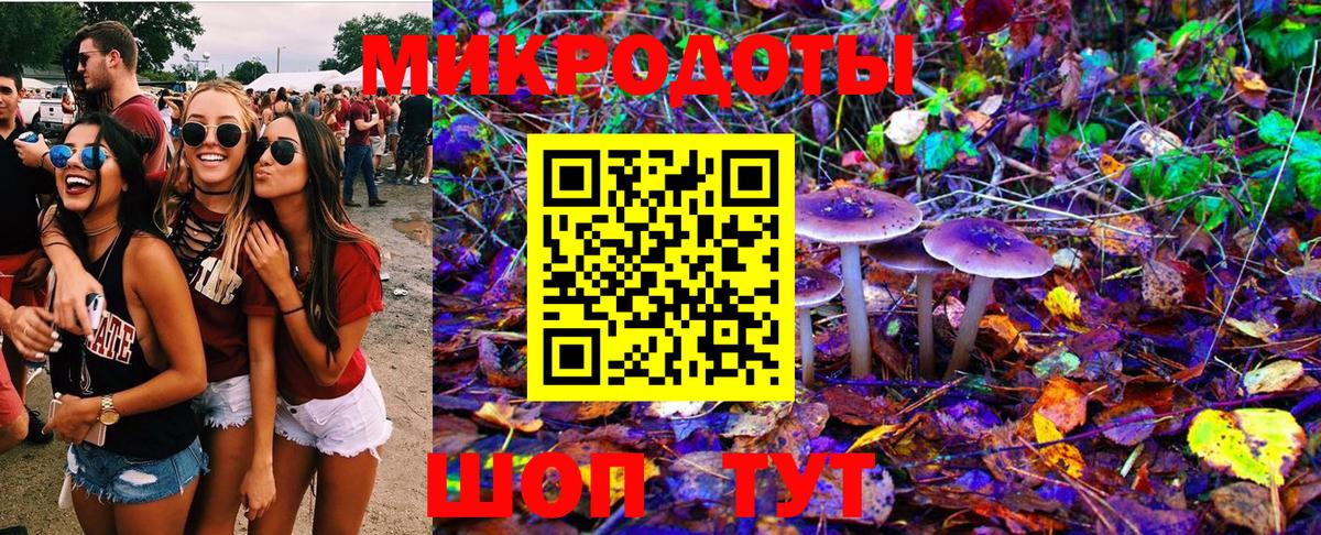 Галлюциногенные грибы MAGIC MUSHROOMS  Псилоцибиновые грибы Psilocybe  Вход с VPN  Сочи 